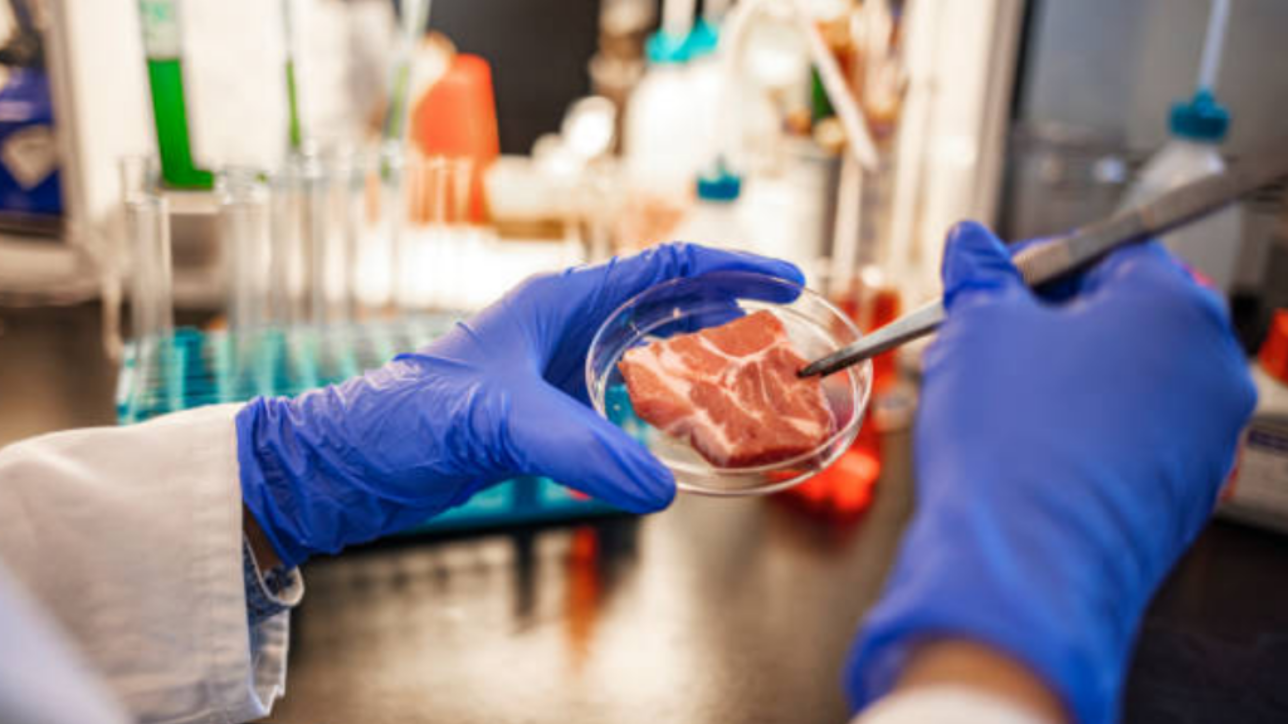 como se hace carne sintetica